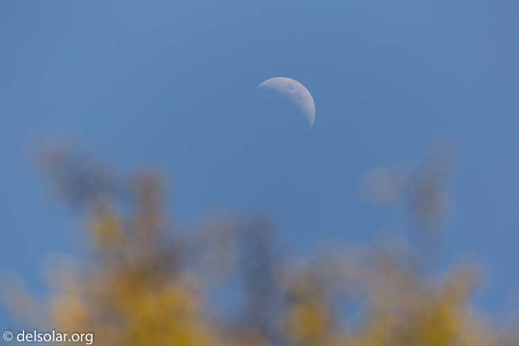 Canon EOS 5D Mark III  --  400 mm  --  EF100-400mm f/4.5-5.6L IS II USM  