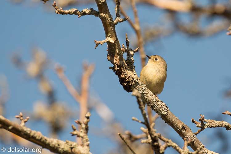 Canon EOS 5D Mark III  --  400 mm  --  EF100-400mm f/4.5-5.6L IS II USM  