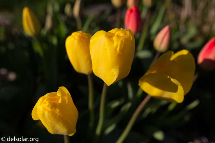 Canon EOS 5D Mark III  --  35 mm  --  35mm  