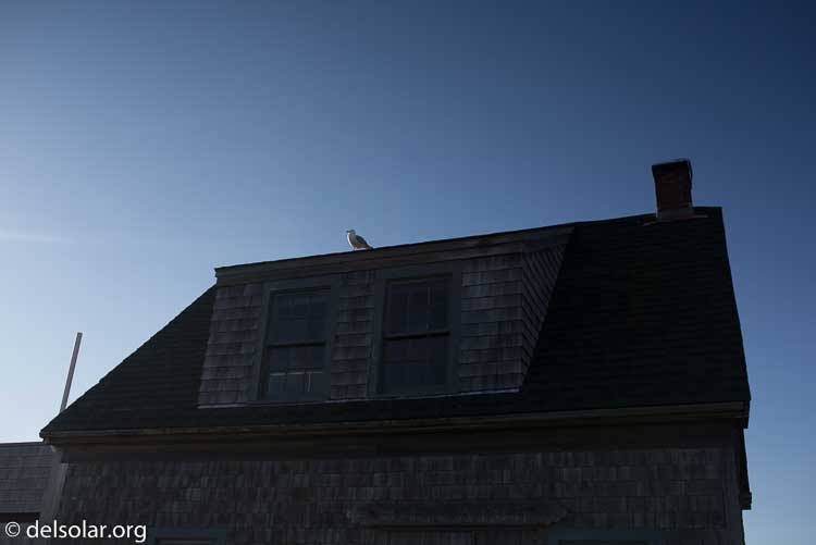 Canon EOS 5D Mark III  --  35 mm  --  35mm  