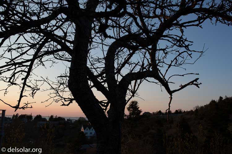 Canon EOS 5D Mark III  --  35 mm  --  35mm  