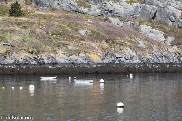 Canon EOS 5D Mark III  --  164 mm  --  EF100-400mm f/4.5-5.6L IS II USM  