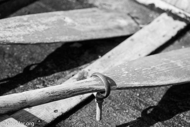 Canon EOS 5D Mark III  --  220 mm  --  EF100-400mm f/4.5-5.6L IS II USM  