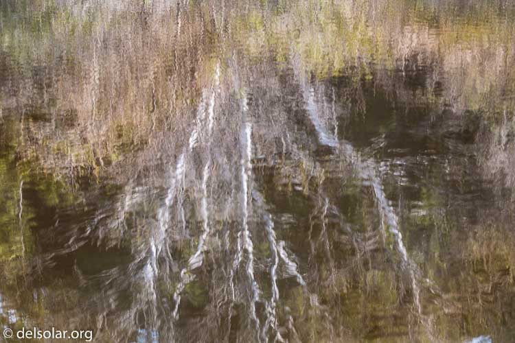 Canon EOS 5D Mark III  --  153 mm  --  EF100-400mm f/4.5-5.6L IS II USM  