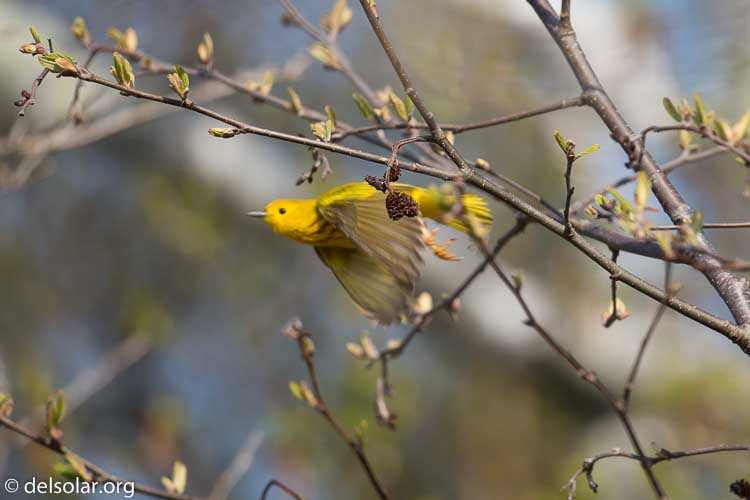 Canon EOS 5D Mark III  --  400 mm  --  EF100-400mm f/4.5-5.6L IS II USM  