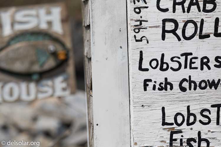 Canon EOS 5D Mark III  --  278 mm  --  EF100-400mm f/4.5-5.6L IS II USM  