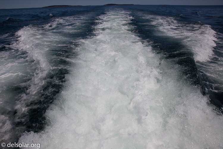 Canon EOS 5D Mark II  --  24 mm  --  EF24-105mm f/4L IS USM  