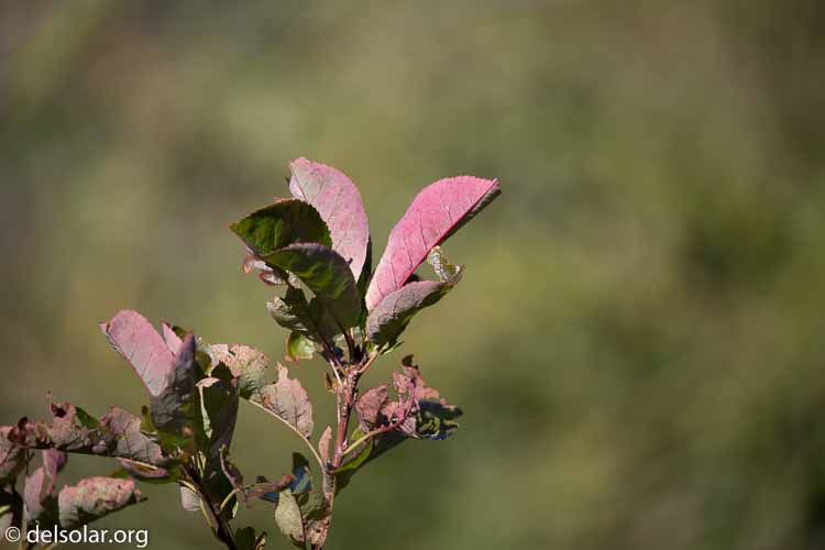 Canon EOS 5D Mark III  --  400 mm  --  EF100-400mm f/4.5-5.6L IS II USM  
