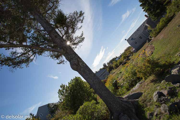 Canon EOS 5D Mark III  --  16 mm  --  EF16-35mm f/4L IS USM  