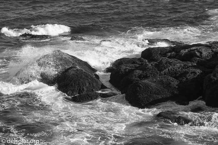 Canon EOS 5D Mark III  --  158 mm  --  EF100-400mm f/4.5-5.6L IS II USM  