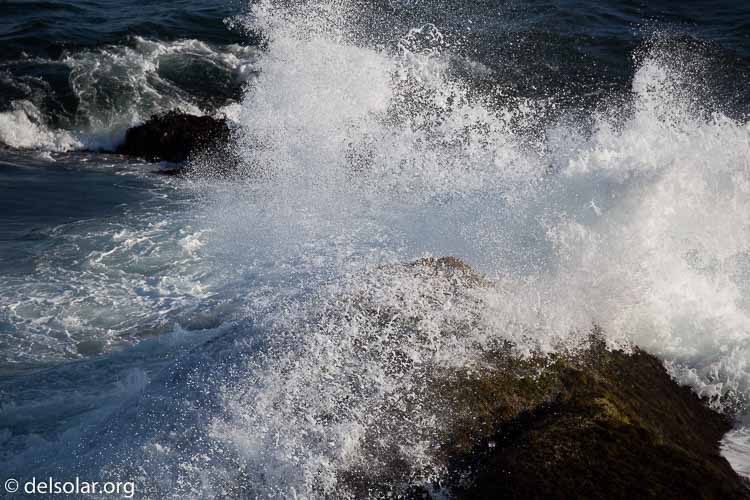 Canon EOS 5D Mark III  --  400 mm  --  EF100-400mm f/4.5-5.6L IS II USM  