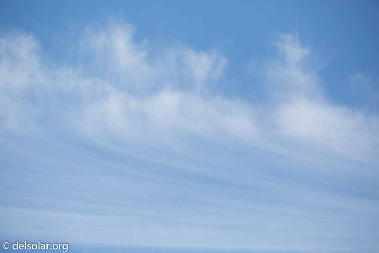 Canon EOS 5D Mark III  --  255 mm  --  EF100-400mm f/4.5-5.6L IS II USM  