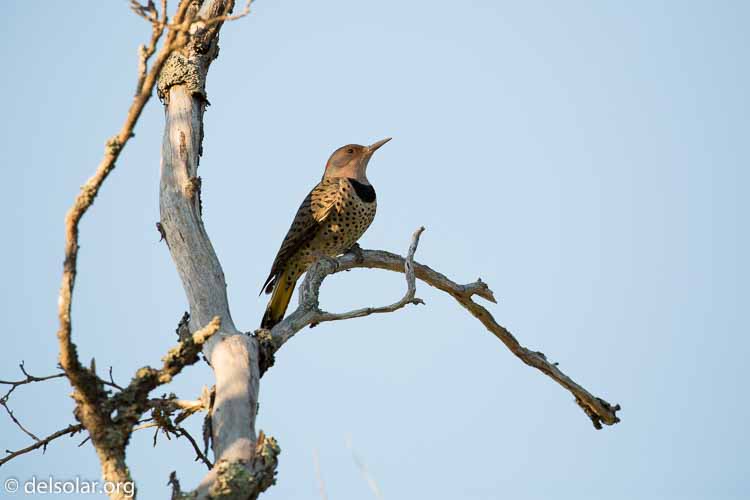 Canon EOS 5D Mark III  --  400 mm  --  EF100-400mm f/4.5-5.6L IS II USM  