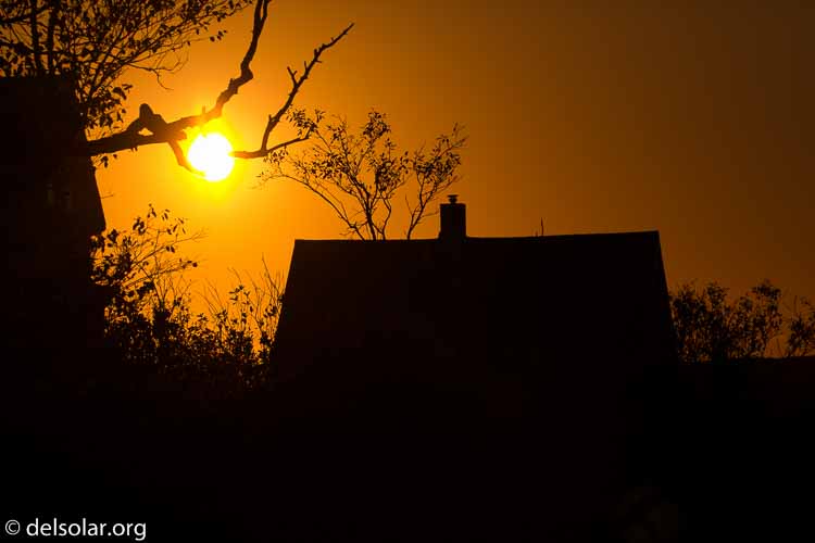 Canon EOS 5D Mark III  --  176 mm  --  EF100-400mm f/4.5-5.6L IS II USM  