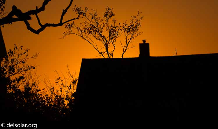 Canon EOS 5D Mark III  --  227 mm  --  EF100-400mm f/4.5-5.6L IS II USM  