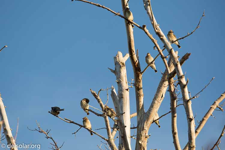 Canon EOS 5D Mark III  --  321 mm  --  EF100-400mm f/4.5-5.6L IS II USM  