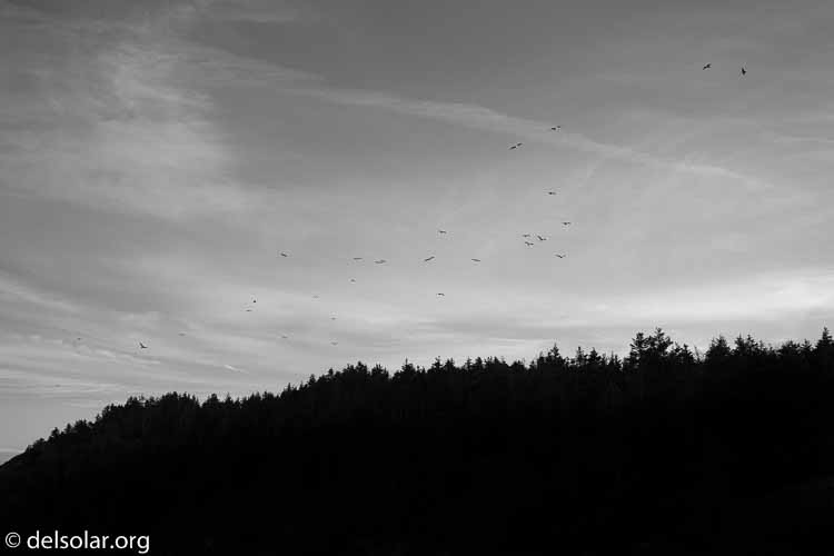 Canon EOS 5D Mark III  --  35 mm  --  EF16-35mm f/4L IS USM  