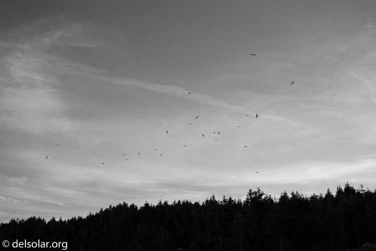 Canon EOS 5D Mark III  --  35 mm  --  EF16-35mm f/4L IS USM  