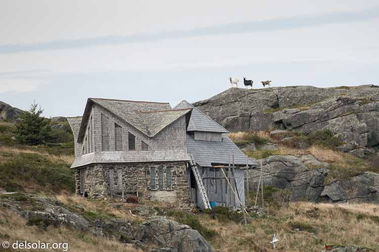 Canon EOS 5D Mark III  --  400 mm  --  EF100-400mm f/4.5-5.6L IS II USM  