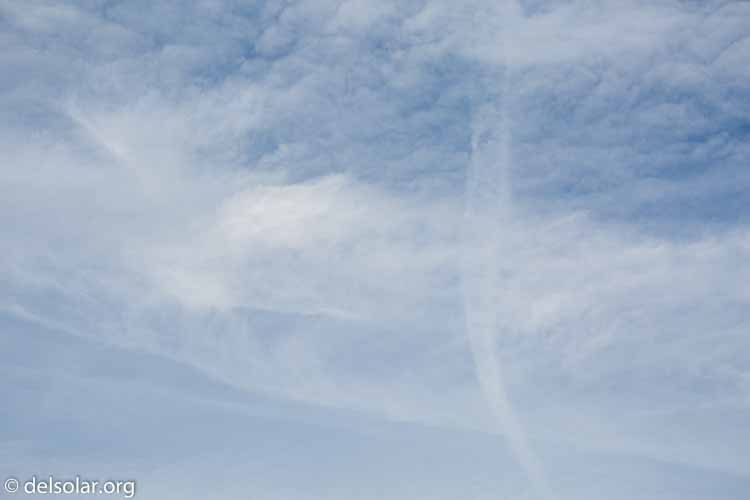 Canon EOS 5D Mark III  --  148 mm  --  EF100-400mm f/4.5-5.6L IS II USM  