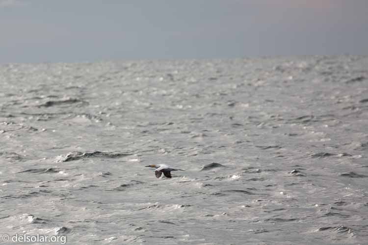 Canon EOS 5D Mark III  --  400 mm  --  EF100-400mm f/4.5-5.6L IS II USM  