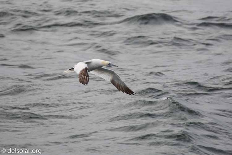 Canon EOS 5D Mark III  --  400 mm  --  EF100-400mm f/4.5-5.6L IS II USM  