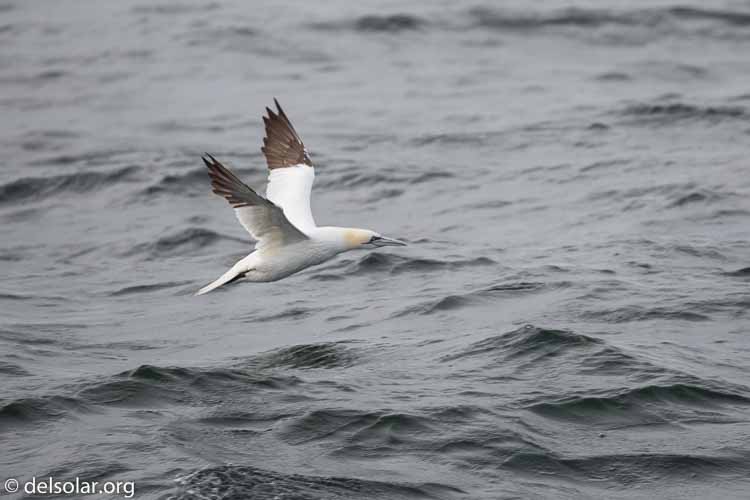 Canon EOS 5D Mark III  --  400 mm  --  EF100-400mm f/4.5-5.6L IS II USM  