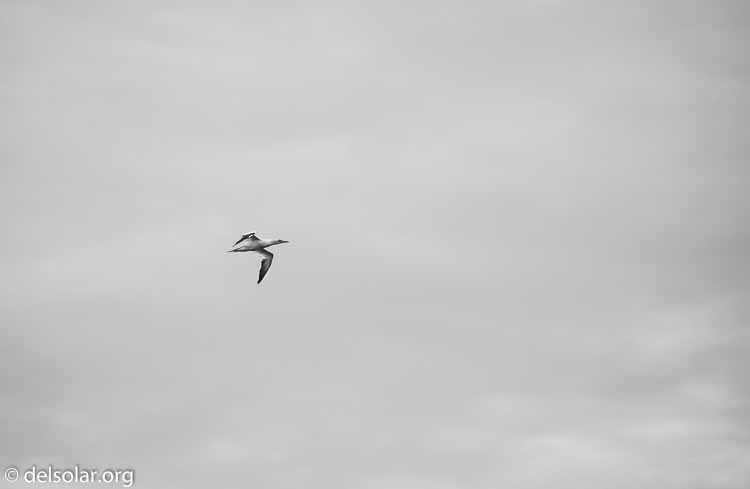 Canon EOS 5D Mark III  --  400 mm  --  EF100-400mm f/4.5-5.6L IS II USM  