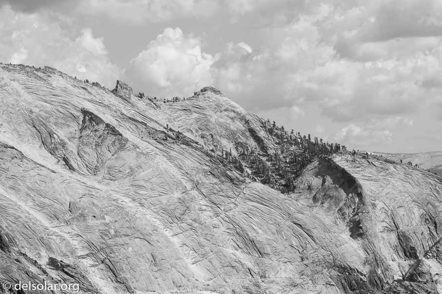 Canon EOS 7D Mark II  --  107 mm  --  EF100-400mm f/4.5-5.6L IS II USM  