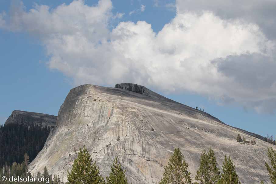 Canon EOS 7D Mark II  --  100 mm  --  EF100-400mm f/4.5-5.6L IS II USM  