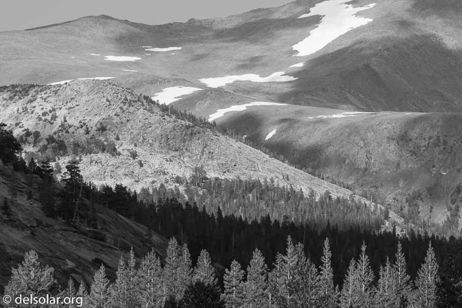 Canon EOS 7D Mark II  --  176 mm  --  EF100-400mm f/4.5-5.6L IS II USM  