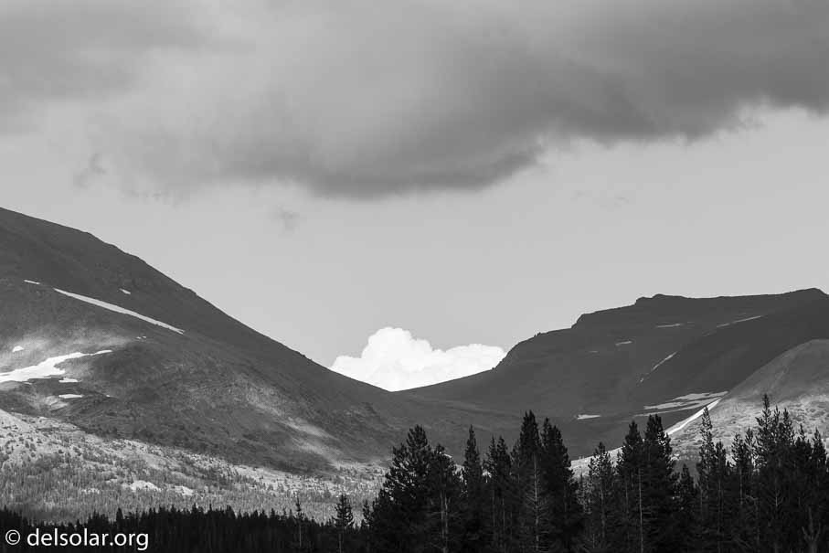 Canon EOS 7D Mark II  --  170 mm  --  EF100-400mm f/4.5-5.6L IS II USM  