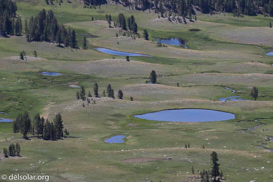 Canon EOS 7D Mark II  --  200 mm  --  EF100-400mm f/4.5-5.6L IS II USM  