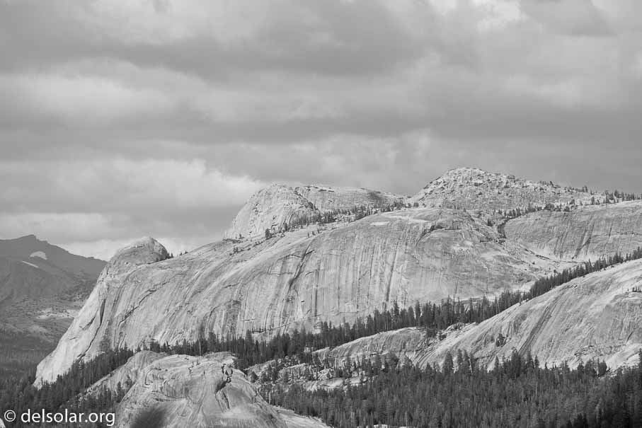 Canon EOS 5D Mark III  --  255 mm  --  EF100-400mm f/4.5-5.6L IS II USM  