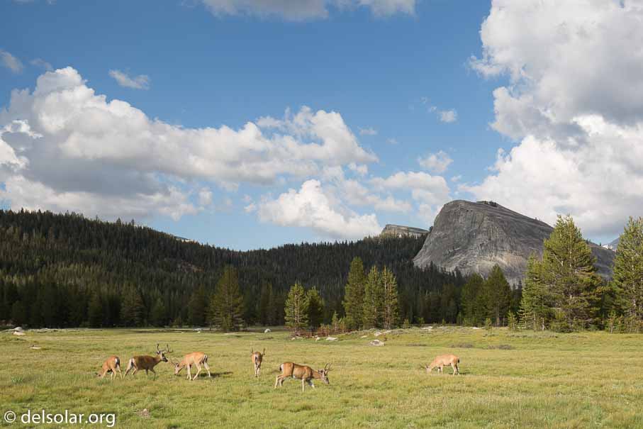 Canon EOS 5D Mark III  --  35 mm  --  EF16-35mm f/4L IS USM  