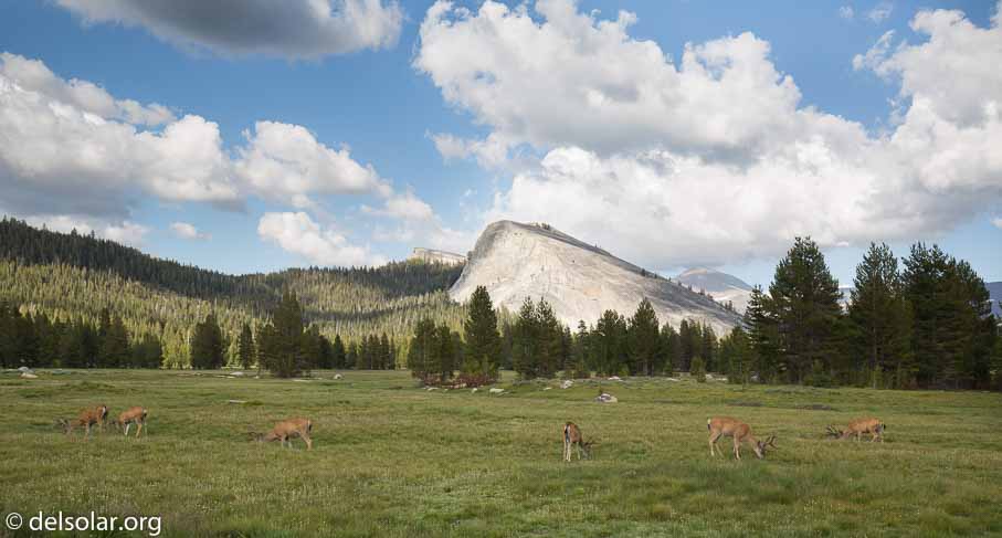 Canon EOS 5D Mark III  --  35 mm  --  EF16-35mm f/4L IS USM  