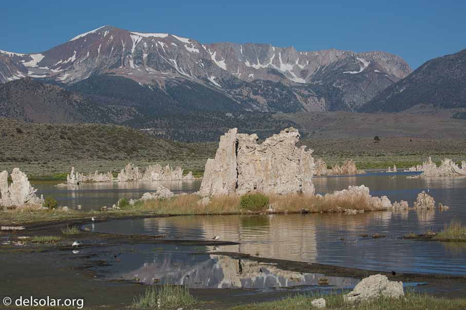 Canon EOS 5D Mark III  --  100 mm  --  EF100-400mm f/4.5-5.6L IS II USM  