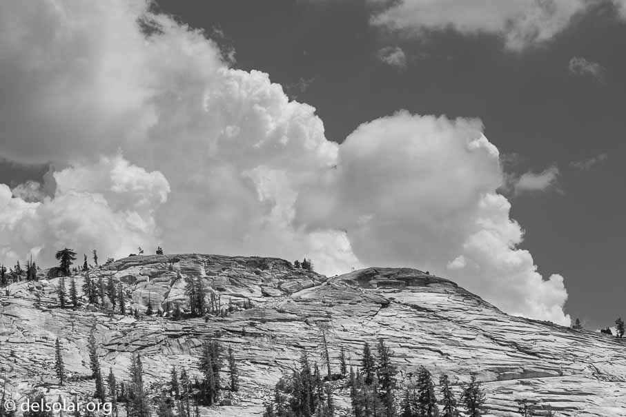 Canon EOS 5D Mark III  --  110 mm  --  EF100-400mm f/4.5-5.6L IS II USM  