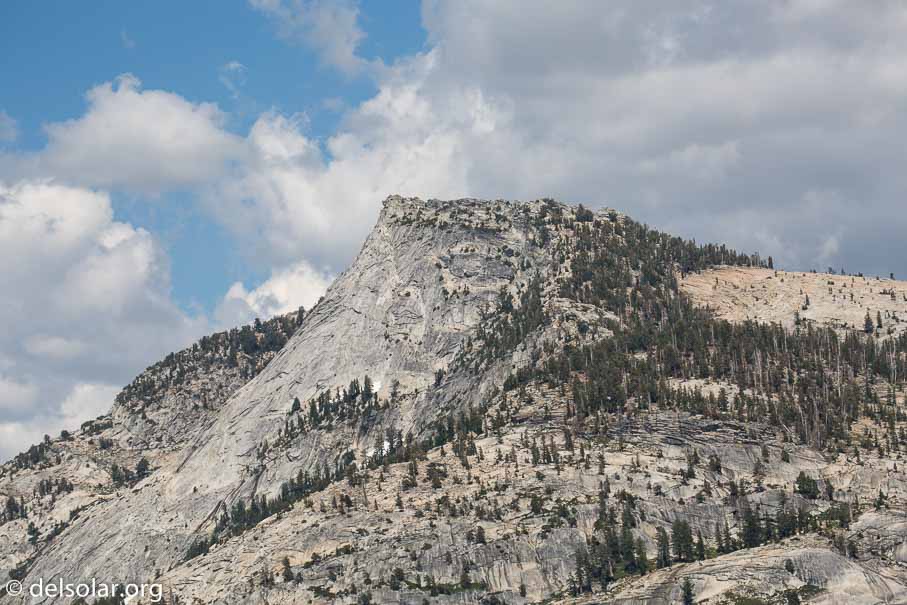 Canon EOS 5D Mark III  --  176 mm  --  EF100-400mm f/4.5-5.6L IS II USM  