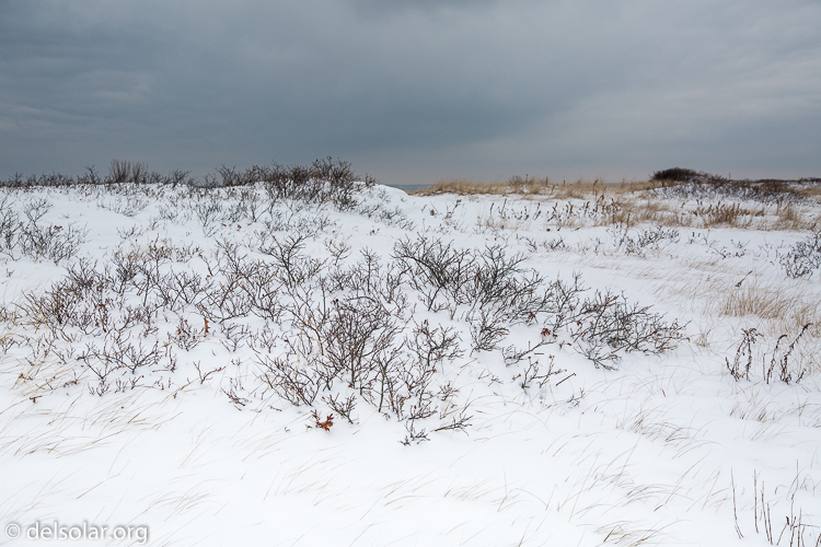 Canon EOS 5D Mark III  --  50 mm  --  EF24-105mm f/4L IS USM  