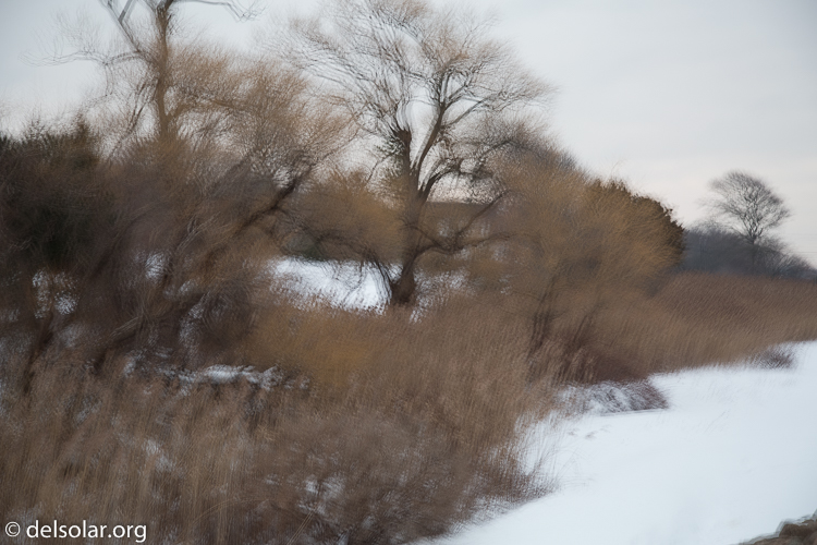 Canon EOS 5D Mark III  --  70 mm  --  EF24-105mm f/4L IS USM  