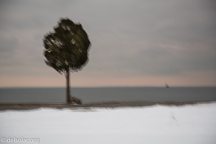 Canon EOS 5D Mark III  --  93 mm  --  EF24-105mm f/4L IS USM  