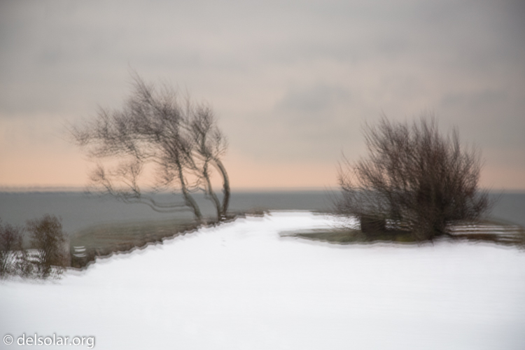 Canon EOS 5D Mark III  --  93 mm  --  EF24-105mm f/4L IS USM  