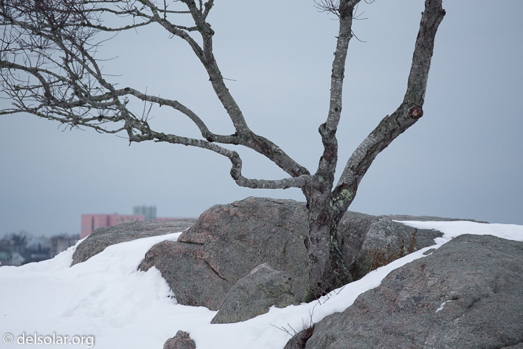 Canon EOS 5D Mark III  --  188 mm  --  EF70-200mm f/4L USM  