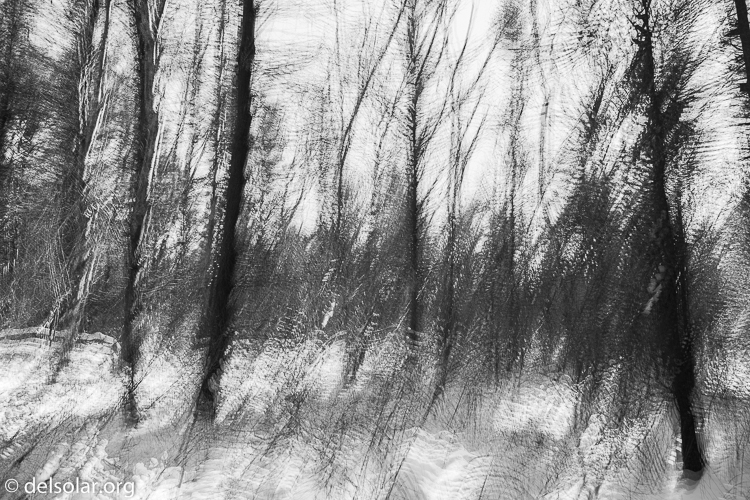 Canon EOS 5D Mark III  --  24 mm  --  EF24-105mm f/4L IS USM  