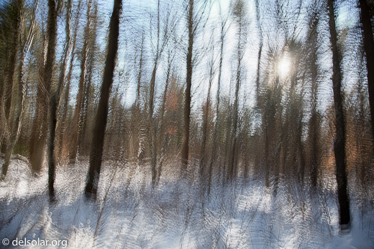 Canon EOS 5D Mark III  --  24 mm  --  EF24-105mm f/4L IS USM  