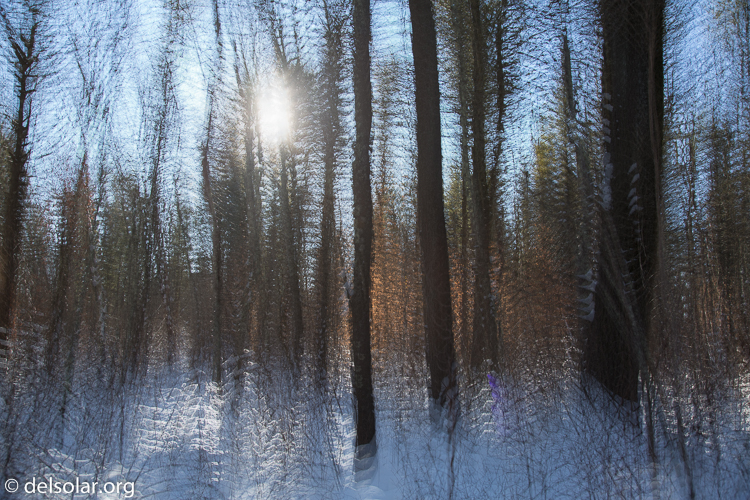 Canon EOS 5D Mark III  --  28 mm  --  EF24-105mm f/4L IS USM  