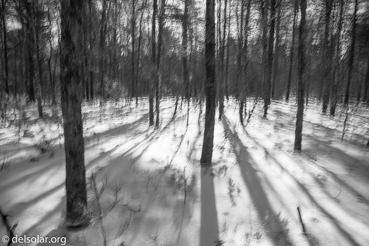 Canon EOS 5D Mark III  --  24 mm  --  EF24-105mm f/4L IS USM  