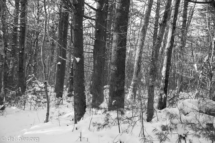 Canon EOS 5D Mark III  --  55 mm  --  EF24-105mm f/4L IS USM  