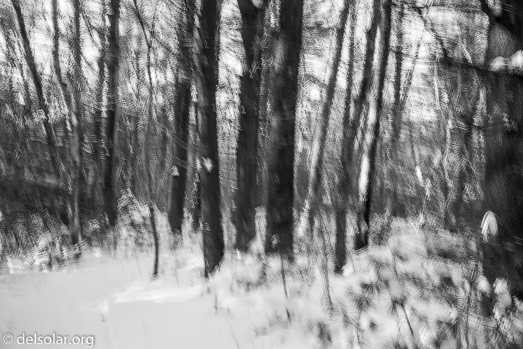 Canon EOS 5D Mark III  --  40 mm  --  EF24-105mm f/4L IS USM  